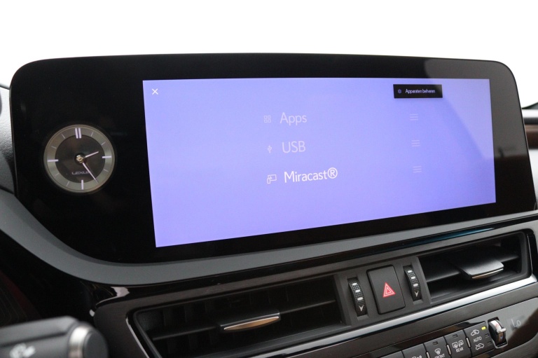 Lexus ES - 300h President Line 46