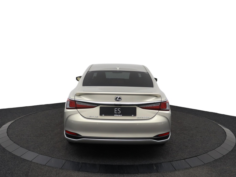 Lexus ES - 300h President Line 49