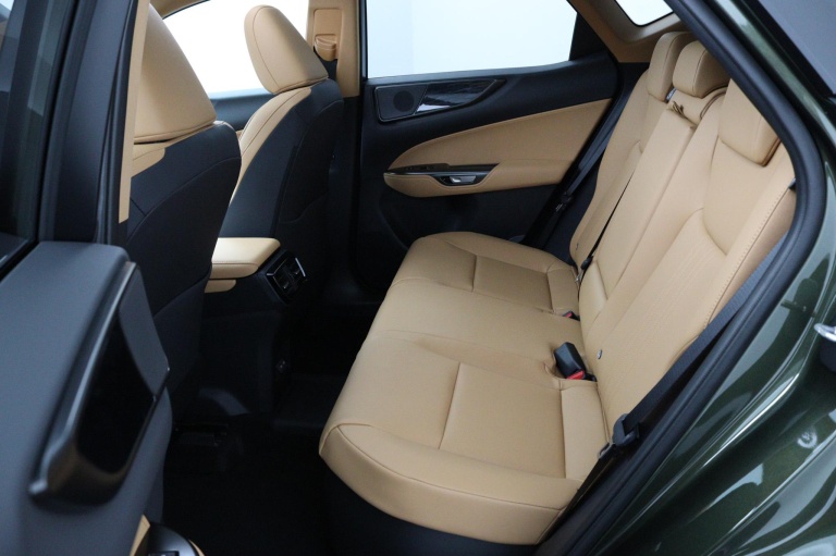 Lexus NX - 450h+ AWD Luxury Line 17