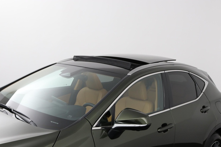 Lexus NX - 450h+ AWD Luxury Line 37