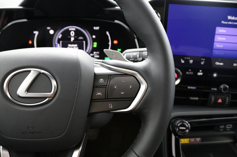 Lexus NX - 450h+ AWD President Line 19