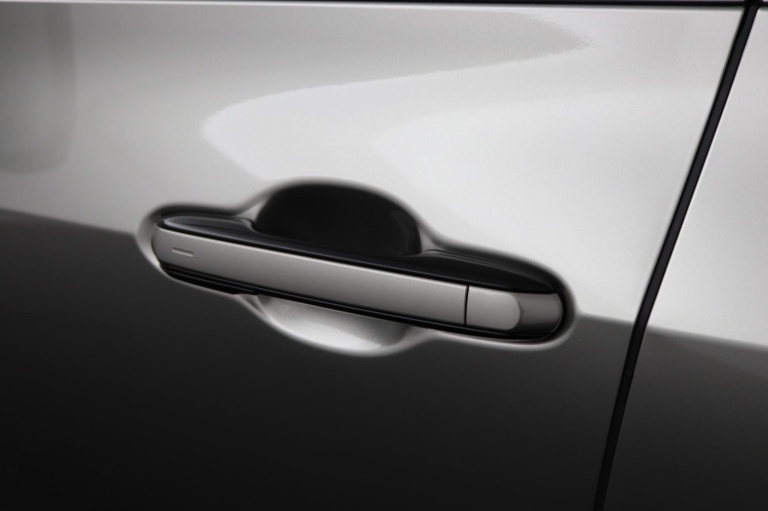 Lexus NX - 450h+ AWD President Line 37