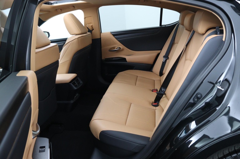 Lexus ES - 300h Luxury Line 18
