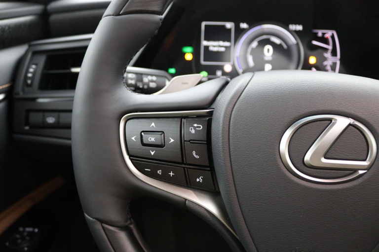Lexus ES - 300h Luxury Line 19
