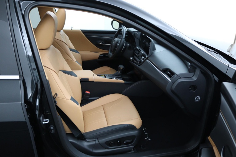 Lexus ES - 300h Luxury Line 22
