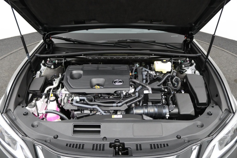 Lexus ES - 300h Luxury Line 31