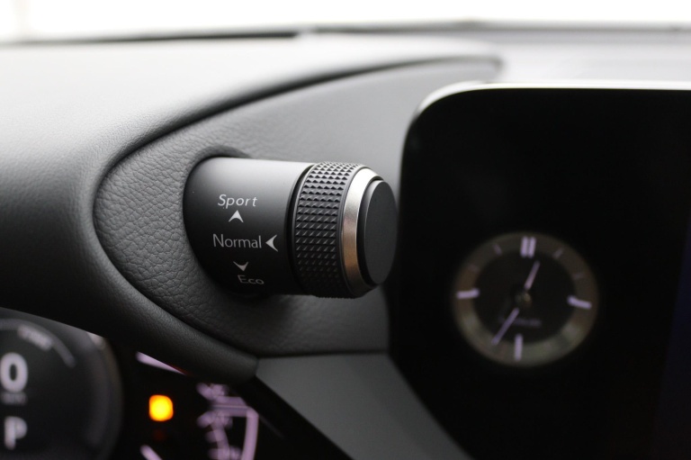 Lexus ES - 300h Luxury Line 39