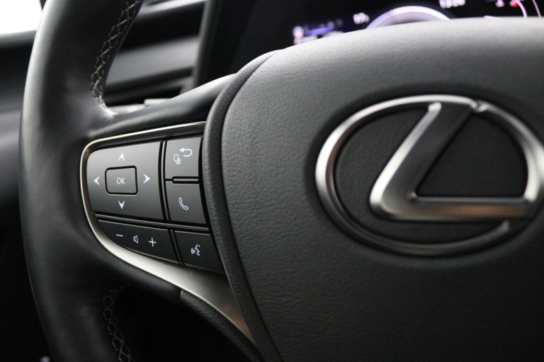 Lexus UX - 250h Business Line 19