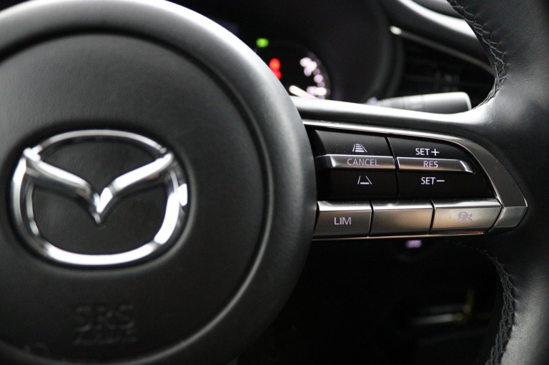 Mazda CX-30 - 2.0 e-SkyActiv-G M Hybrid Homura 19