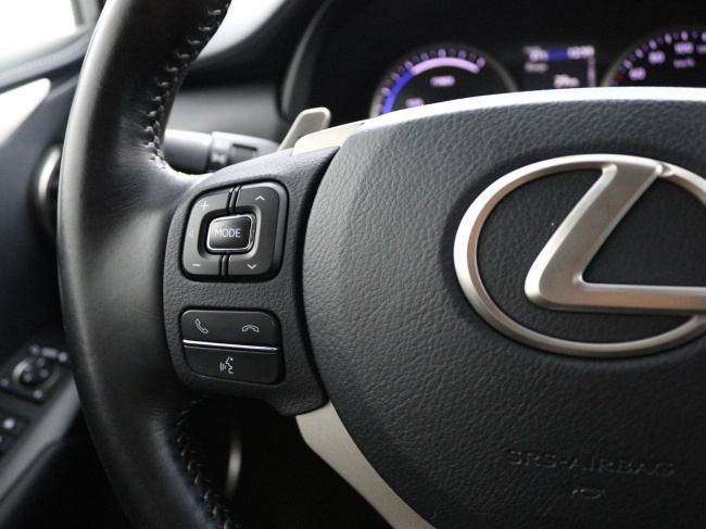 Lexus NX - 300h AWD Sport Edition