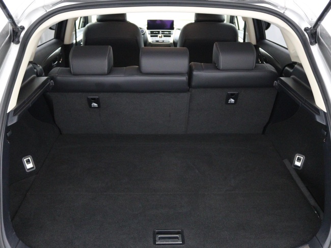 Lexus NX - 300h AWD Sport Edition