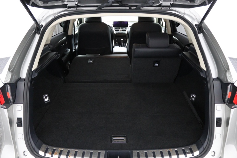 Lexus NX - 300h AWD Sport Edition 25
