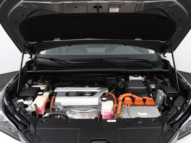 Lexus NX - 300h AWD Sport Edition