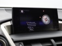 Lexus NX - 300h AWD F Sport Line