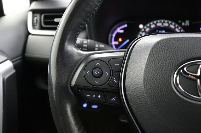 Toyota RAV4 - 2.5 Hybrid Black Edition 19