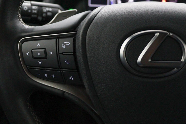 Lexus UX - 300e Business 54 kWh 19