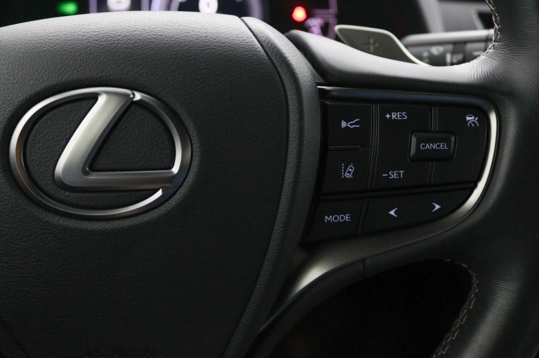 Lexus UX - 300e Business 54 kWh 21