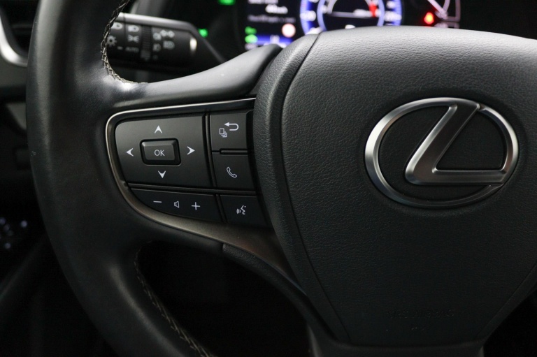 Lexus UX - 250h Preference Line 19
