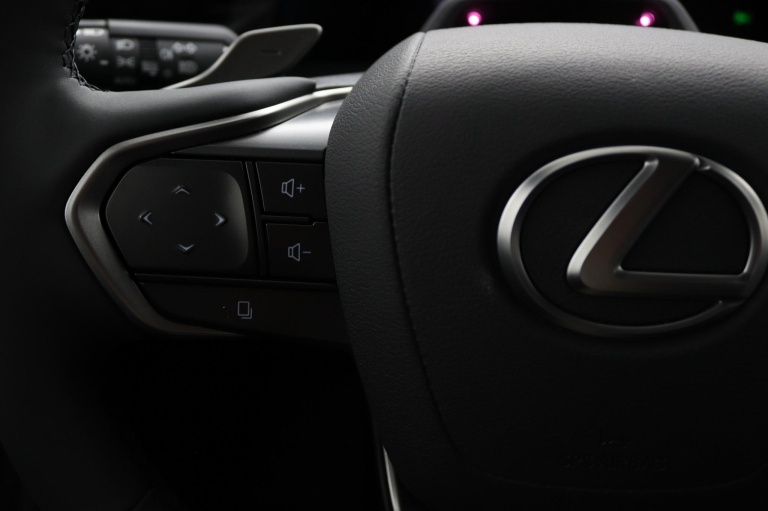 Lexus RZ - 300e 35th Edition 71 kWh 19