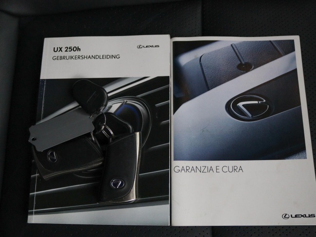 Lexus UX - 250h Luxury Line