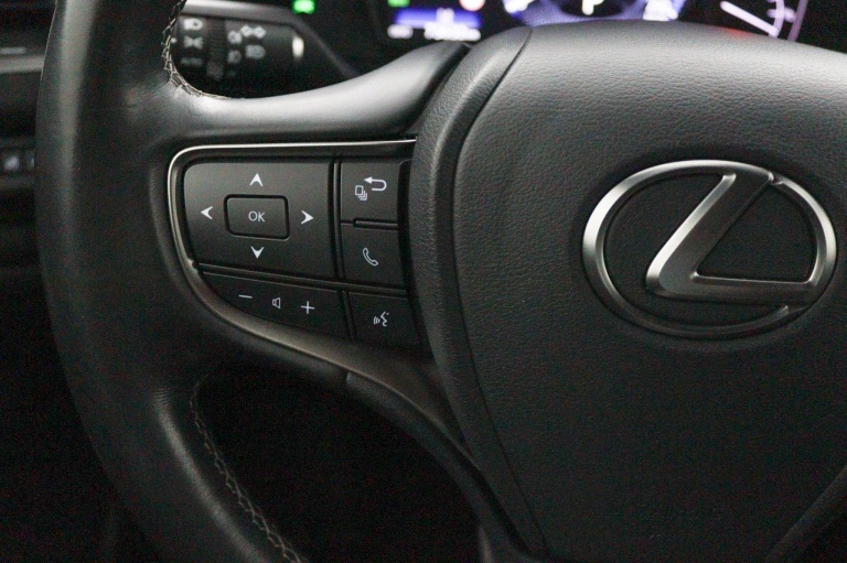 Lexus UX - 250h Luxury Line 19