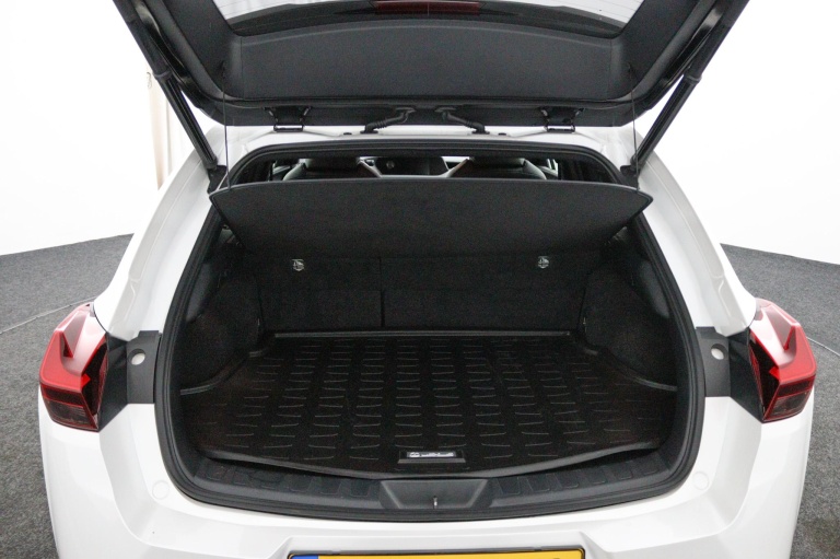 Lexus UX - 250h Luxury Line 23