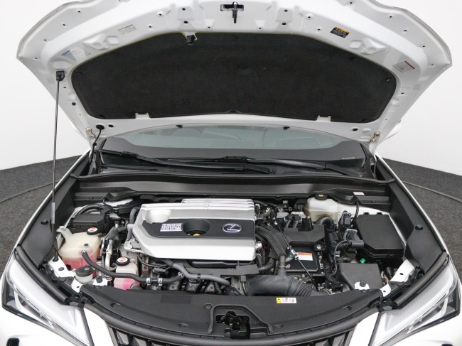 Lexus UX - 250h Luxury Line