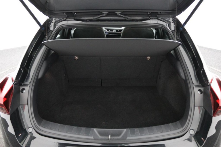 Lexus UX - 300e Business 54 kWh 48