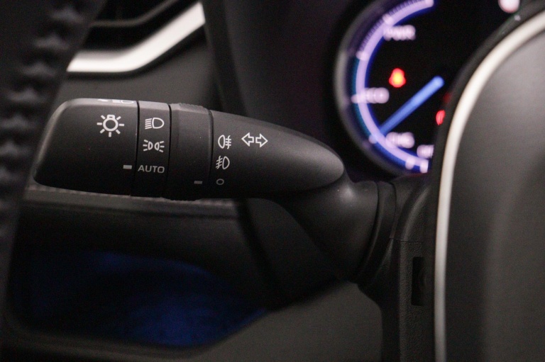 Toyota RAV4 - 2.5 Hybrid AWD Executive 32