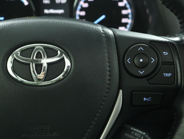 Toyota RAV4 - 2.5 Hybrid AWD Executive Business 21