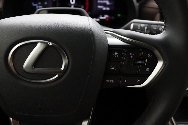 Lexus LBX - Elegant 2WD 19