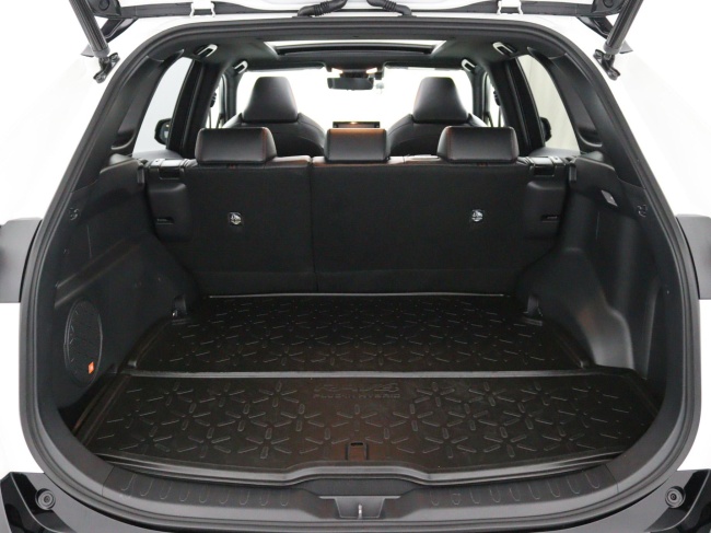 Toyota RAV4 - 2.5 Plug-in Hybrid AWD Bi-Tone Plus