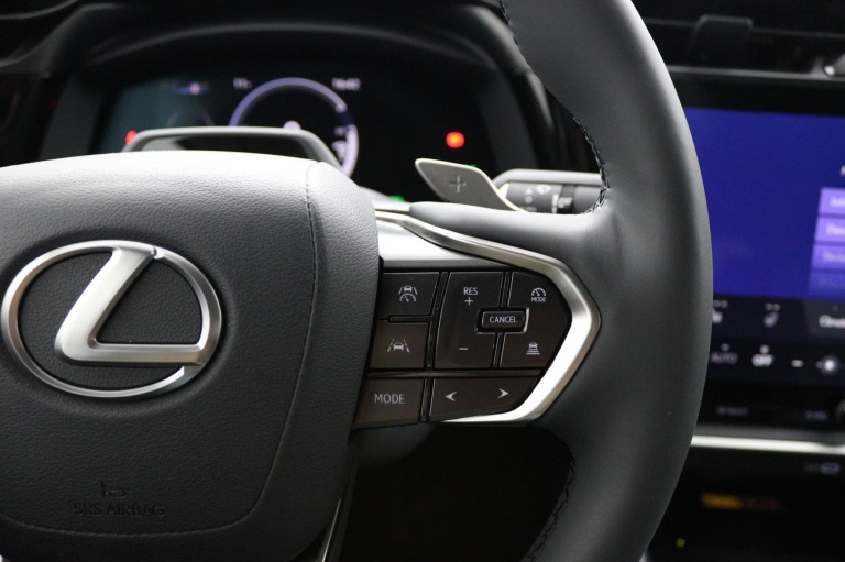 Lexus RZ - 450e Executive Line 71 kWh 19