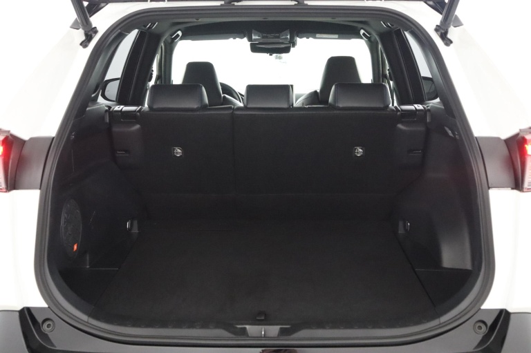 Toyota RAV4 - 2.5 Hybrid Bi-Tone 24