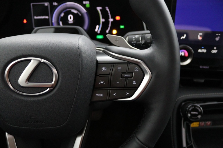 Lexus NX - 450h+ AWD 35th Edition 19