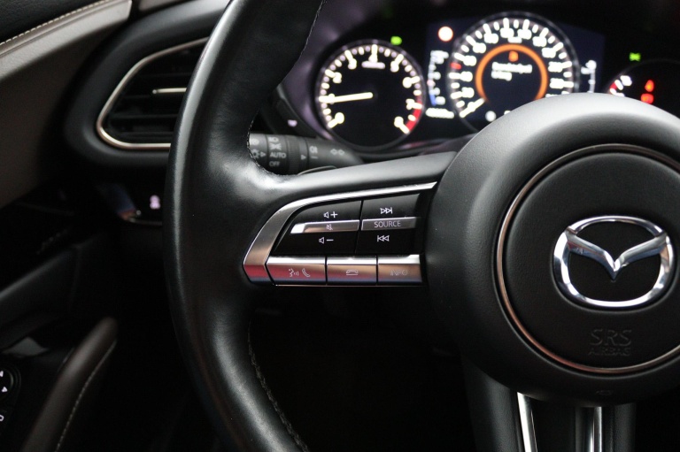 Mazda CX-30 - 2.0 e-SkyActiv-X M Hybrid Luxury 16