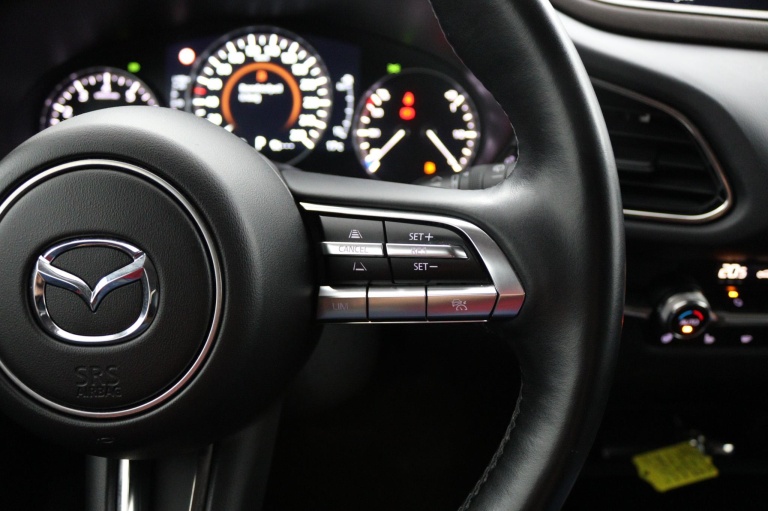 Mazda CX-30 - 2.0 e-SkyActiv-X M Hybrid Luxury 17