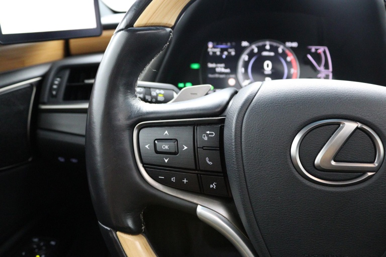 Lexus ES - 300h President Line 19