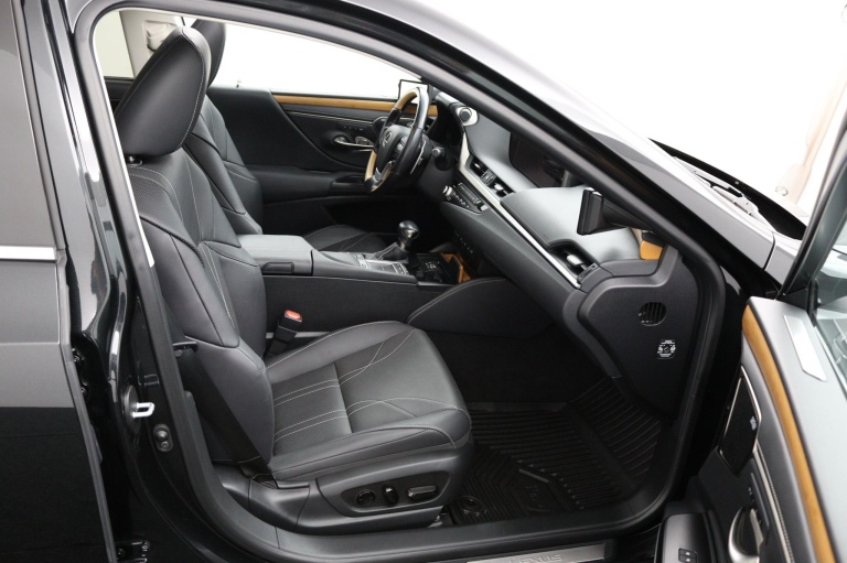 Lexus ES - 300h President Line 22