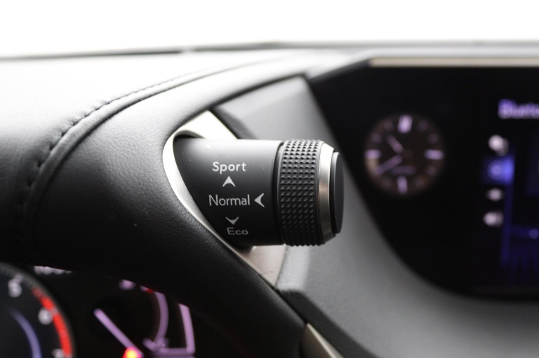 Lexus ES - 300h President Line 47