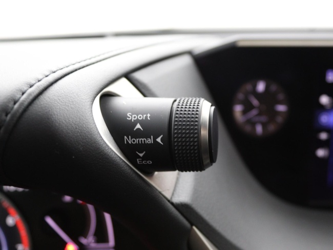 Lexus ES - 300h President Line