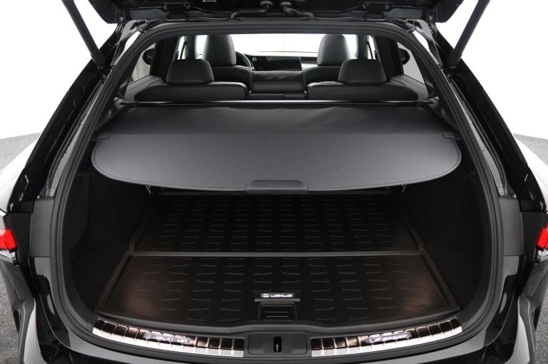 Lexus RX - 450h+ Plug-in Hybrid 35th Edition 22