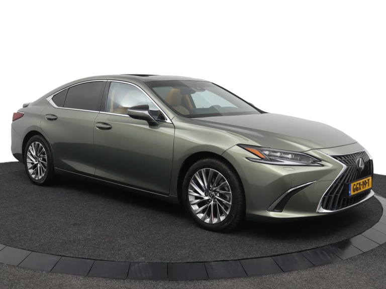 Lexus ES - 300h Executive Line 14