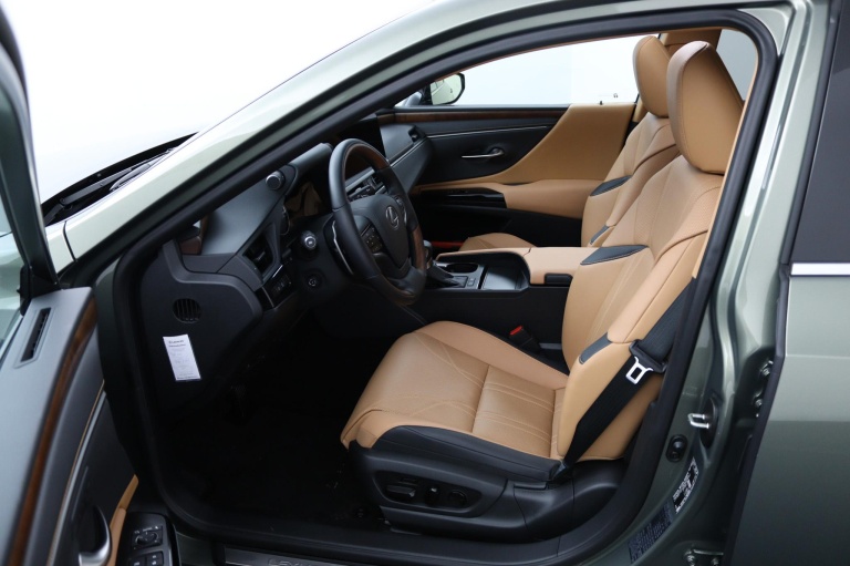 Lexus ES - 300h Executive Line 17