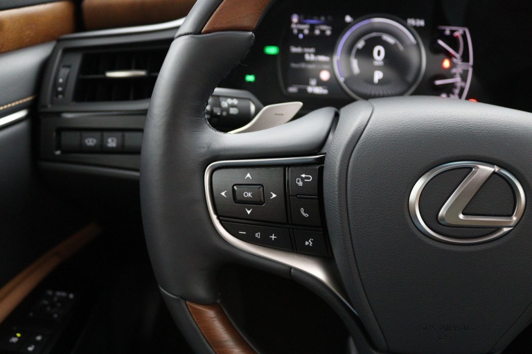Lexus ES - 300h Executive Line 19