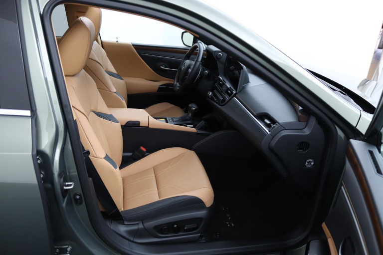 Lexus ES - 300h Executive Line 22