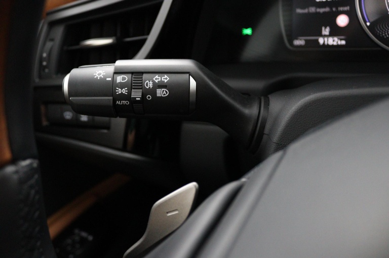 Lexus ES - 300h Executive Line 31