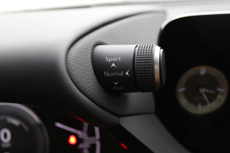 Lexus ES - 300h Executive Line 42