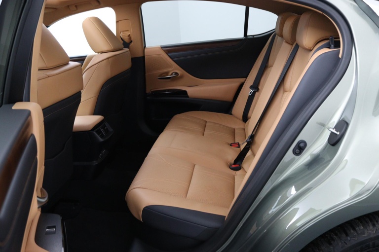 Lexus ES - 300h Executive Line 54