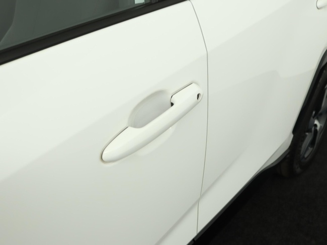 Toyota RAV4 - 2.5 Plug-in Hybrid AWD Business